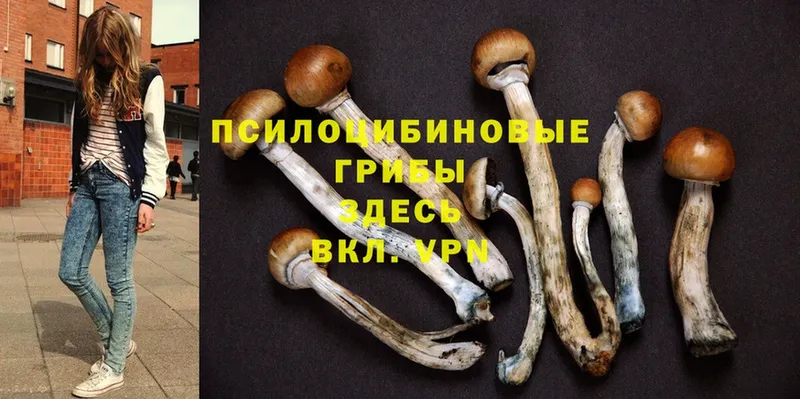 Псилоцибиновые грибы MAGIC MUSHROOMS  Агидель 